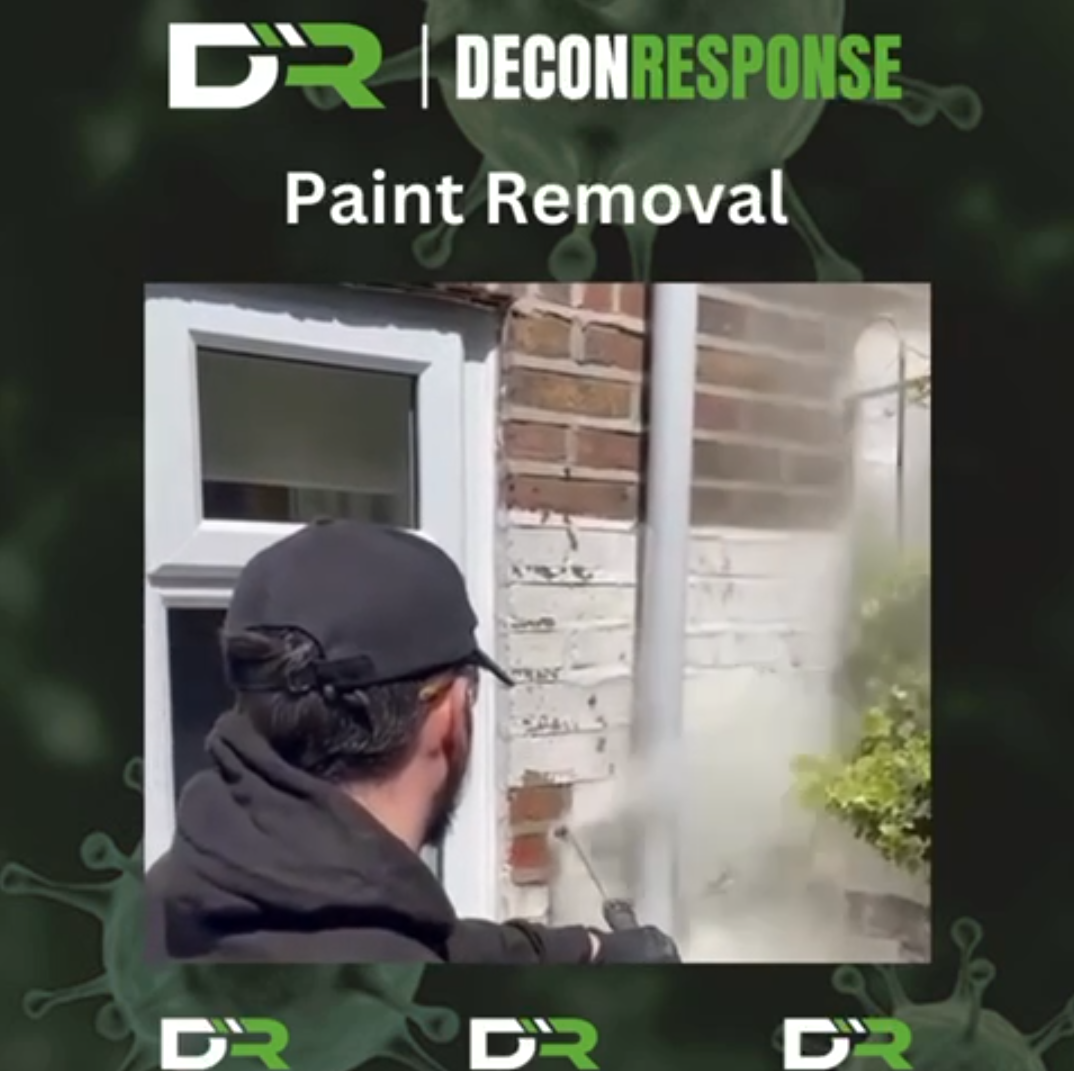 Exterior Paint Removal Services